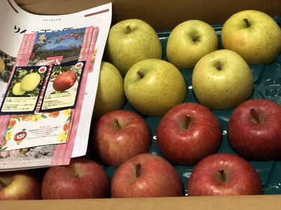 みんなの投稿の画像