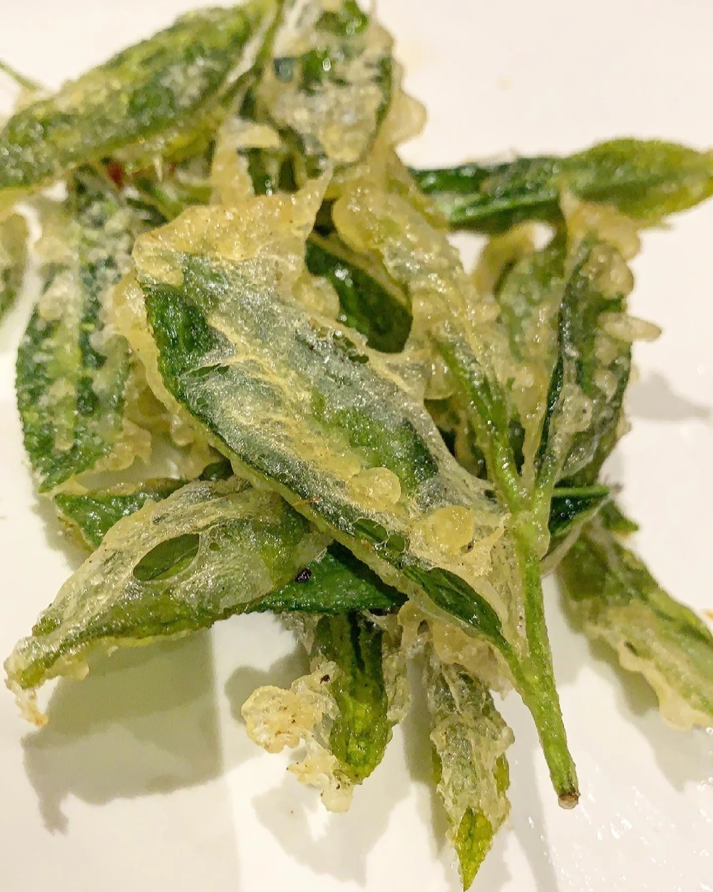 ⭐︎令和5年新茶⭐︎　深蒸し茶 金谷茶 