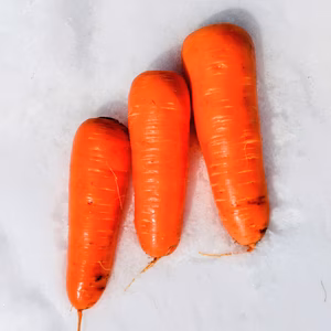 栽培中農薬・化学肥料不使用　甘い✨️雪下人参✨️