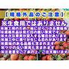 ★★加工向ご家庭用　夏秋いちご　内容量約１．2キロ