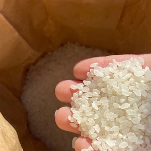 新米　　丹沢からの恵み　美味しいお米　はるみ米　（精米）