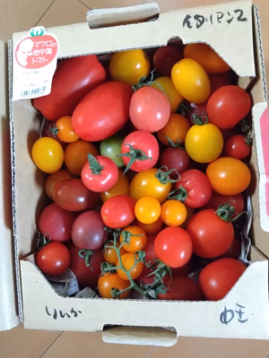 みんなの投稿の画像