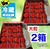2箱セット複数割【クール】【大粒】いちご