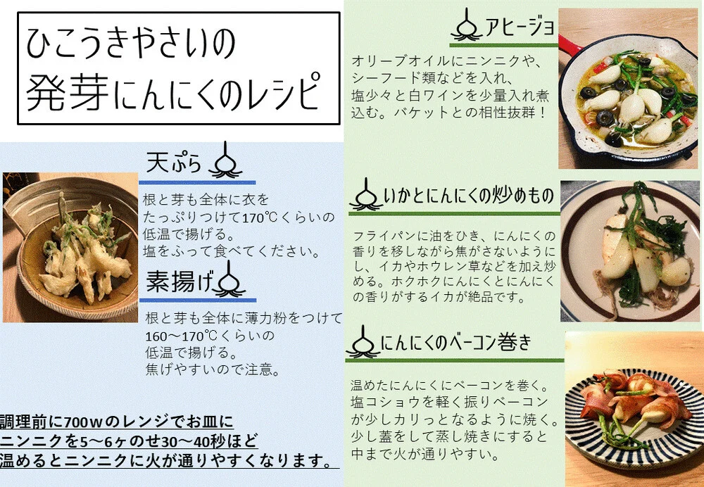 お試し！500円！訳アリ発芽にんにく10本！ 初回注文お一人様1点限り
