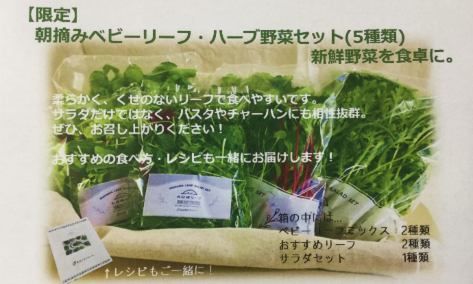 限定 朝摘みベビーリーフ ハーブ野菜セット 5種類 新鮮野菜を食卓に 農家漁師から産地直送の通販 ポケットマルシェ