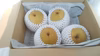 王秋（おうしゅう）梨（鳥取産）　　４個（１個４００～５００ｇ）