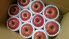 オーガニックりんご（Organic Apple）サンふじ