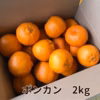 【訳あり】ポンカン（サイズいろいろ）春を呼ぶ味♪