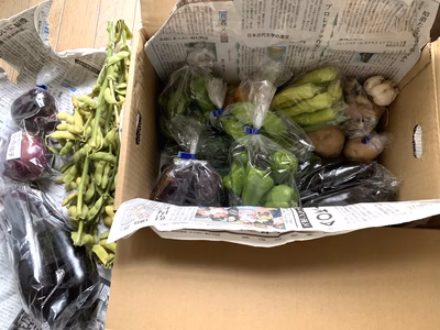 みんなの投稿の画像