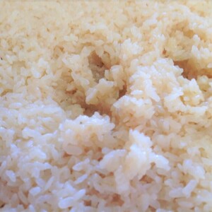 特製甘糀【350g×3】【350g×6】