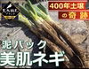 【福袋2025】☆日テレ出演で話題☆ギリギリまで眠らせた泥パック美肌ネギ約1キロ