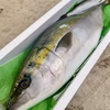 【送料込】本日発送！天然ブリ（6.4kg）