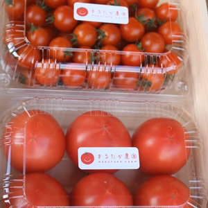 まるたかとまとセット。