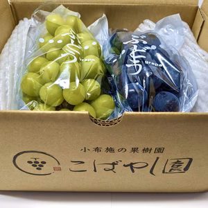 皮ごと食べられる♫長野県産シャインマスカット&ナガノパープルセット