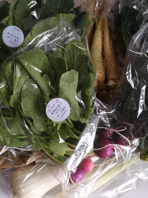 みんなの投稿の画像