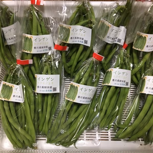 インゲン(サクサク王子)100g袋10個