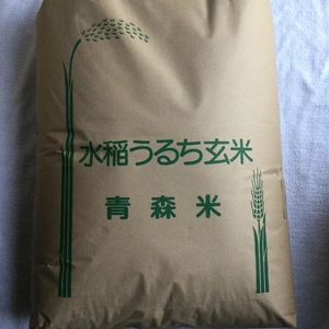 青森県産　つがるロマン令和3年産米　白米10kg紙袋入