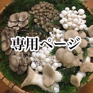 【専用ページ】B品エリンギ1.2kgとぶなしめじ1.2kg