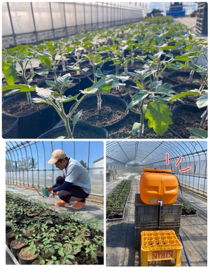 みんなの投稿の画像