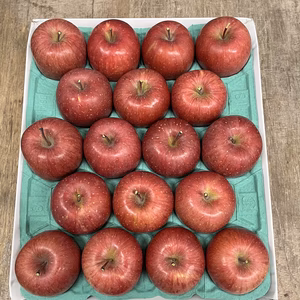 サンふじ【家庭用】