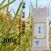 お子様が喜ぶお米！令和２年産茨城県産ミルキークイーン「ほたる」300g×２