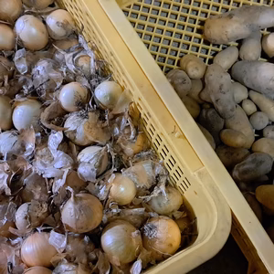 ❤おじいちゃんの無農薬　甘～い新玉ねぎ5キロ+新じゃがいもメークイン5キロ