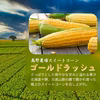 2023年8月 高野農場 北海道十勝トウモロコシ【ゴールドラッシュ】