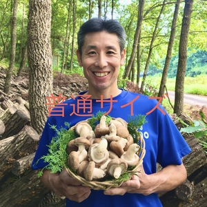 森から育てる香る木の子　 肉厚原木しいたけ　 ～普通サイズ～