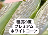 【８月分ポケマルの夏ギフト】まるでスイーツ！！生食できるプレミアムホワイトコーン