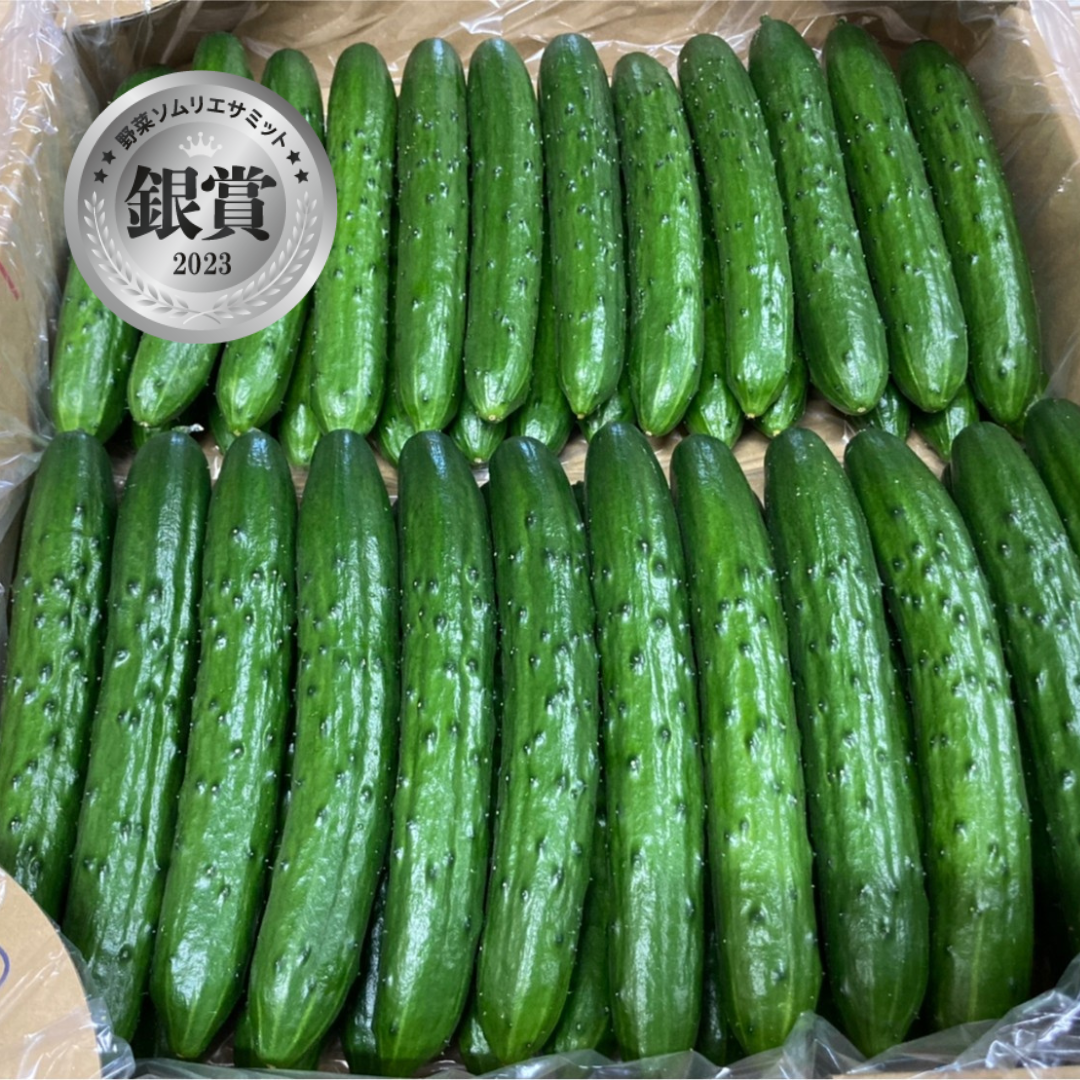 まがりミニきゅうり2kg - 野菜