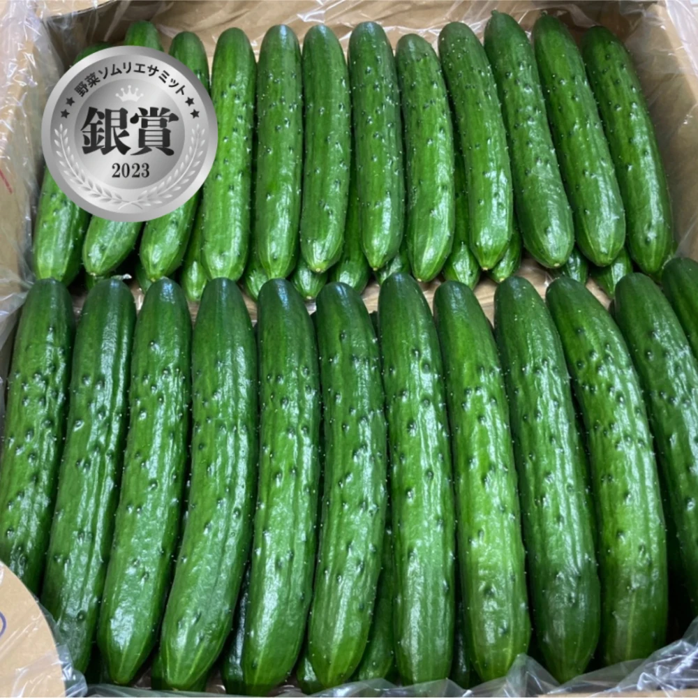 まっすぐ！シャキッと新鮮きゅうり５kg【野菜ソムリエサミット銀賞受賞】