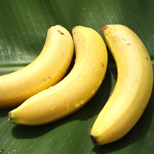 『きみさらずバナナ』500g/1kg【皮ごと食べられる希少な木更津産バナナ】