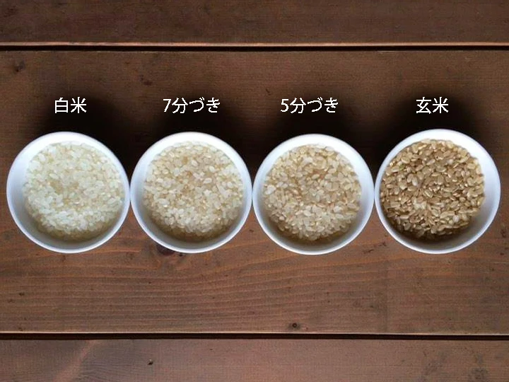 【農薬化学肥料不使用】コシヒカリ・白米・分づき米（2022年産）