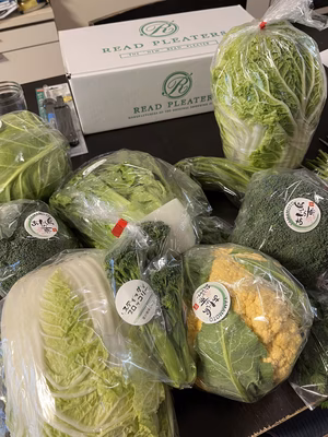 みんなの投稿の画像