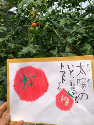 みんなの投稿の画像