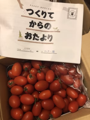 みんなの投稿の画像