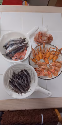 みんなの投稿の画像