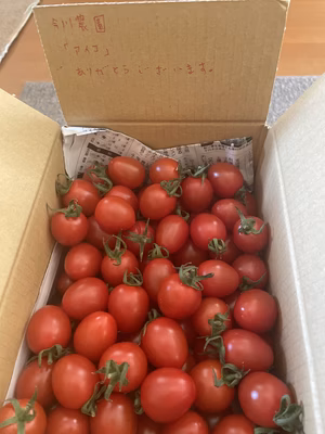 みんなの投稿の画像