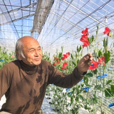 中川 猛 | SweetMemory