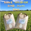 R6年産特別栽培米　彩の国　コシヒカリ　５㎏×２袋