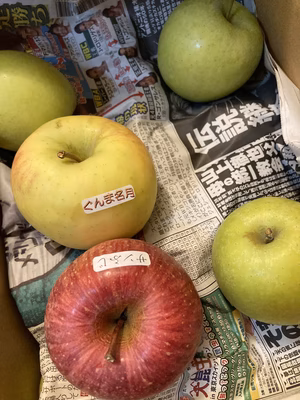 みんなの投稿の画像