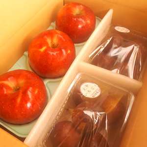 M６ おうちくだもの 無花果 と ようこちゃん