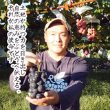 菰田 央 | 東御こもだ果樹園合同会社