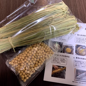 農薬・肥料不使用の藁と大豆で作る藁苞納豆キット【送料無料】