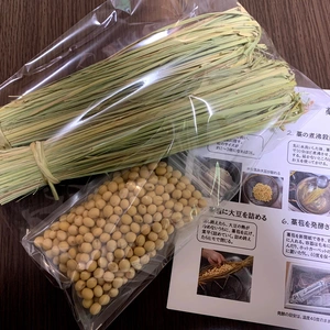 農薬・肥料不使用の藁と大豆で作る藁苞納豆キット【送料無料】