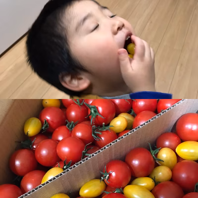 みんなの投稿の画像