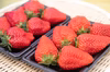 完熟京いちご　霧の都亀岡産　 　おいしいどすえ♡　