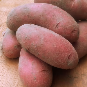 しっとり系でかわいいピンク色！ノーザンルビー【新じゃが】