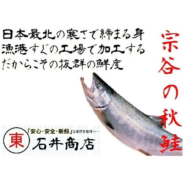北海道!! 宗谷の網元直送 「銀毛生秋鮭」 一本そのまま‼ 約4.0Kg／１尾