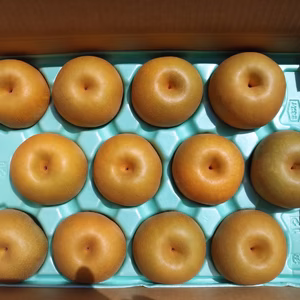 呉羽梨・新高_100サイズ（約5kg）_12個入り